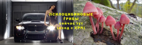 СК Богданович