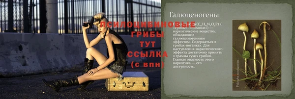 СК Богданович