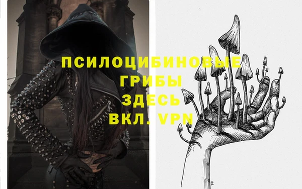 наркотики Богородицк