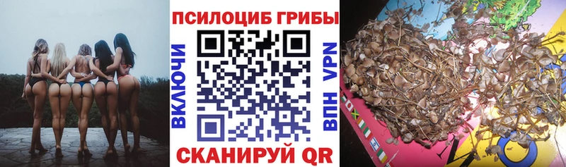 Галлюциногенные грибы ЛСД  цена   гидра ТОР  Егорьевск 